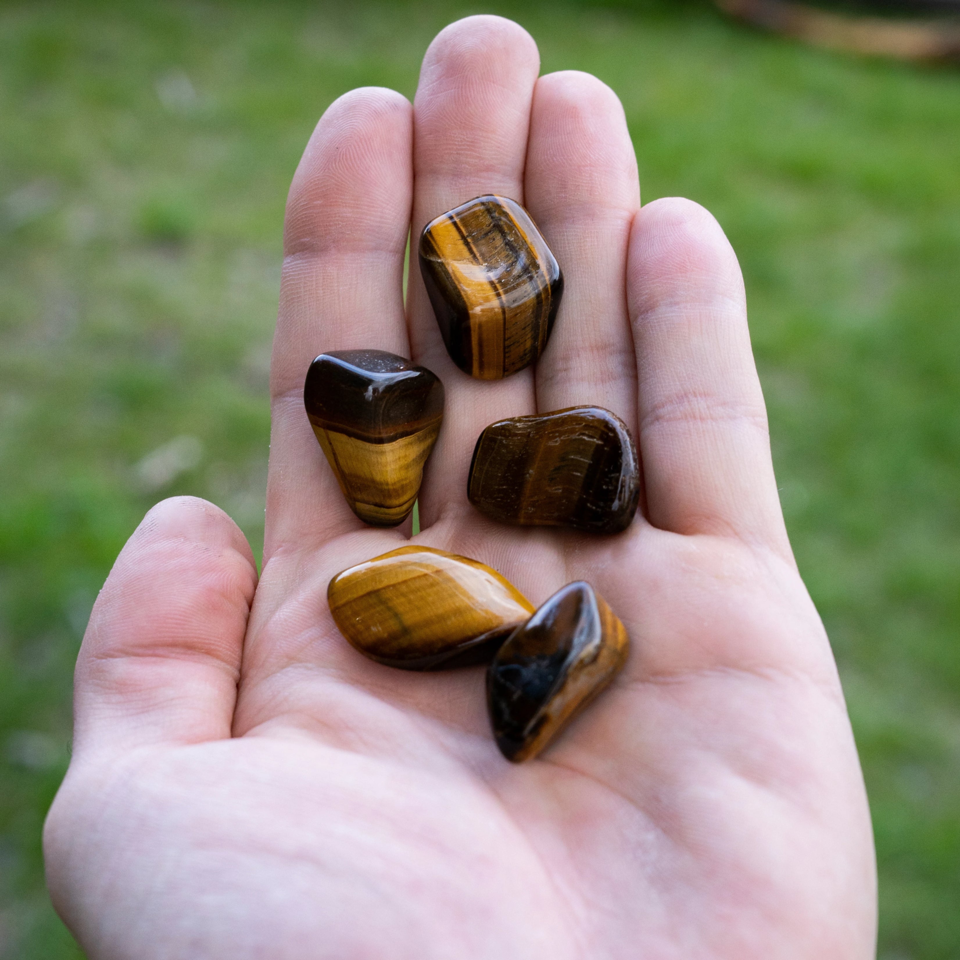 Tiger Eye Small Tumbles Pouch - Rocks and Gems Canada