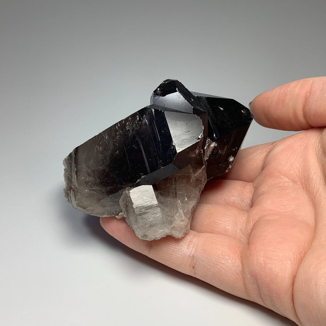 Smoky Quartz Cluster - Rocks and Gems Canada