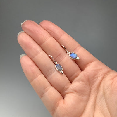Labradorite Dangle Earrings