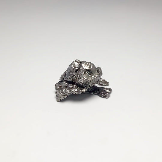 Campo Del Cielo Meteorite - Rocks and Gems Canada