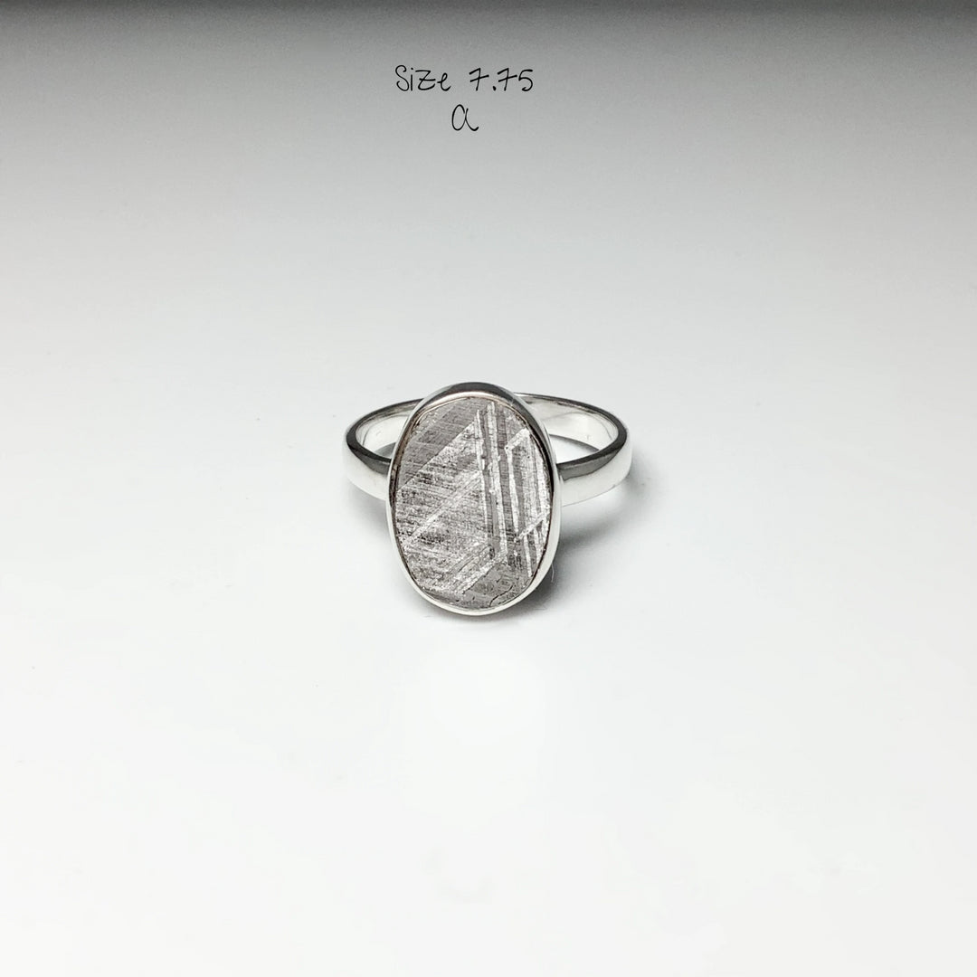 Muonionalusta Meteorite Ring - Rocks and Gems Canada