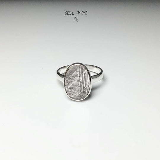 Muonionalusta Meteorite Ring - Rocks and Gems Canada