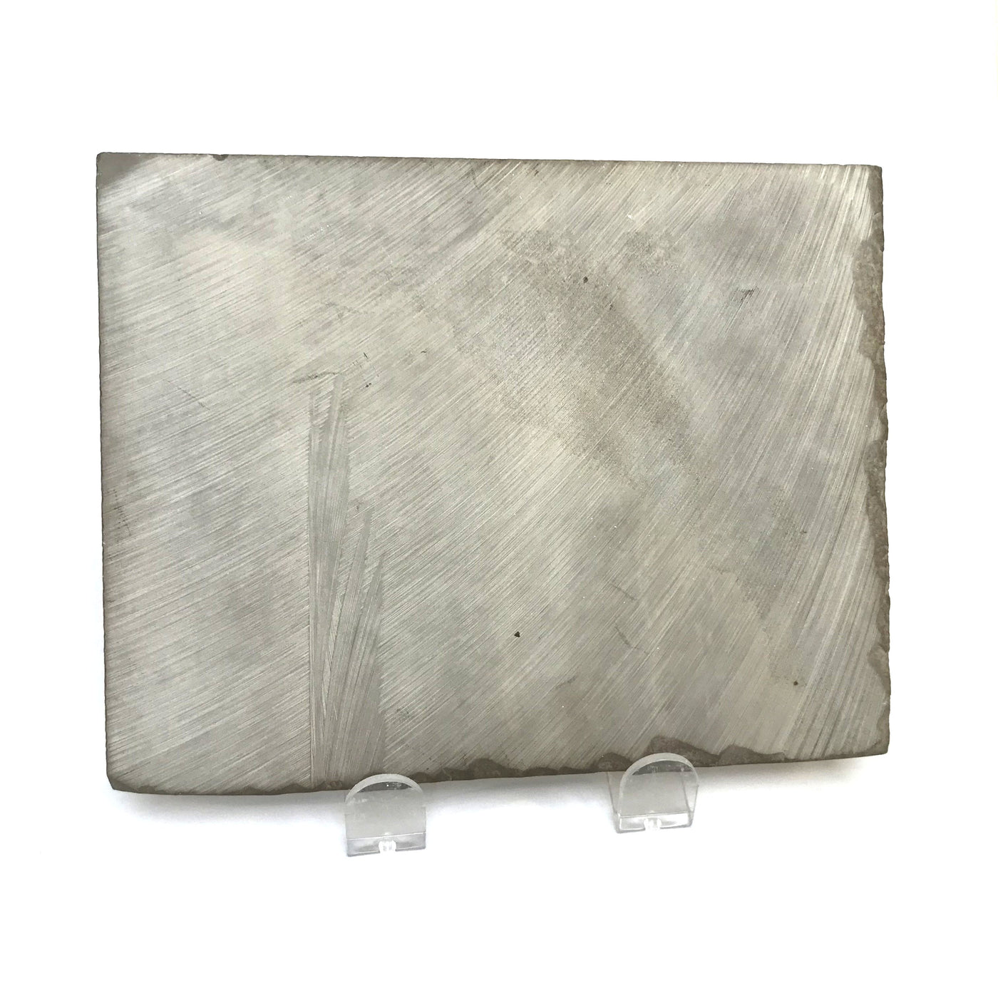 Eurypterid Fossil