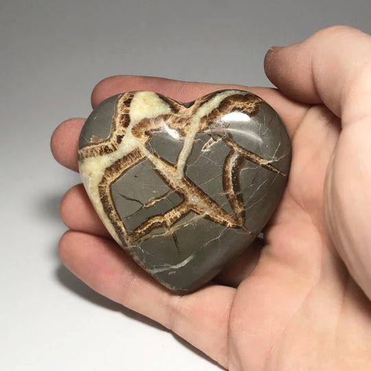Septarian Heart - Rocks and Gems Canada