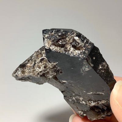 Smoky Quartz Cluster