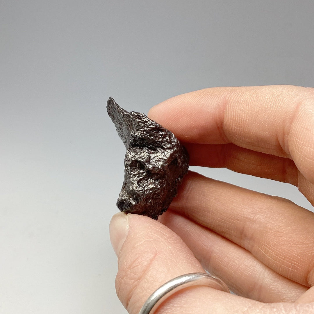 Sikhote-Alin Shrapnel Meteorite - Rocks and Gems Canada