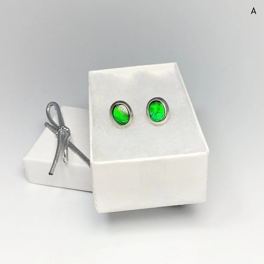 Alberta Ammolite Stud Earrings - Rocks and Gems Canada