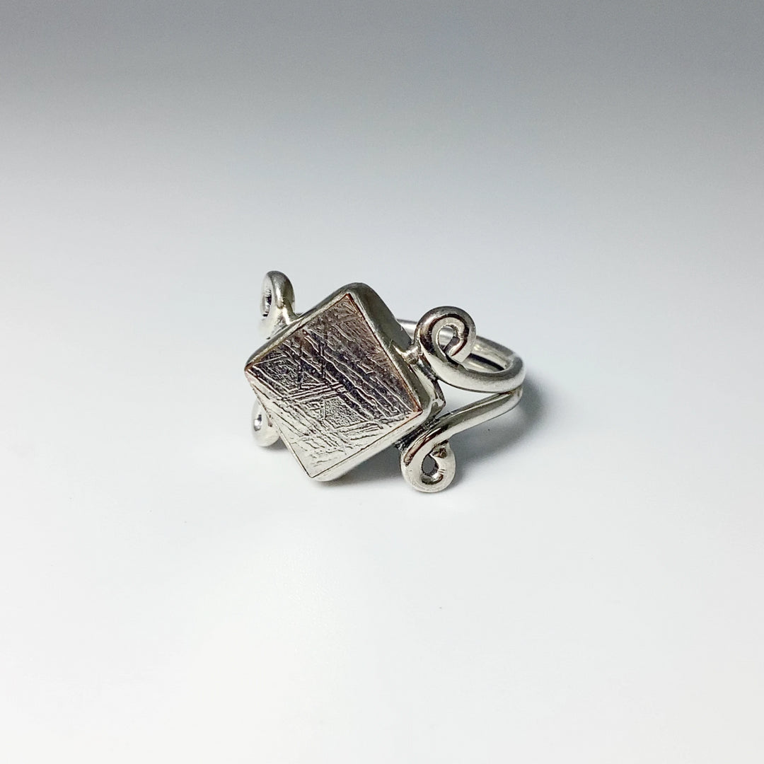 Muonionalusta Meteorite Ring - Rocks and Gems Canada
