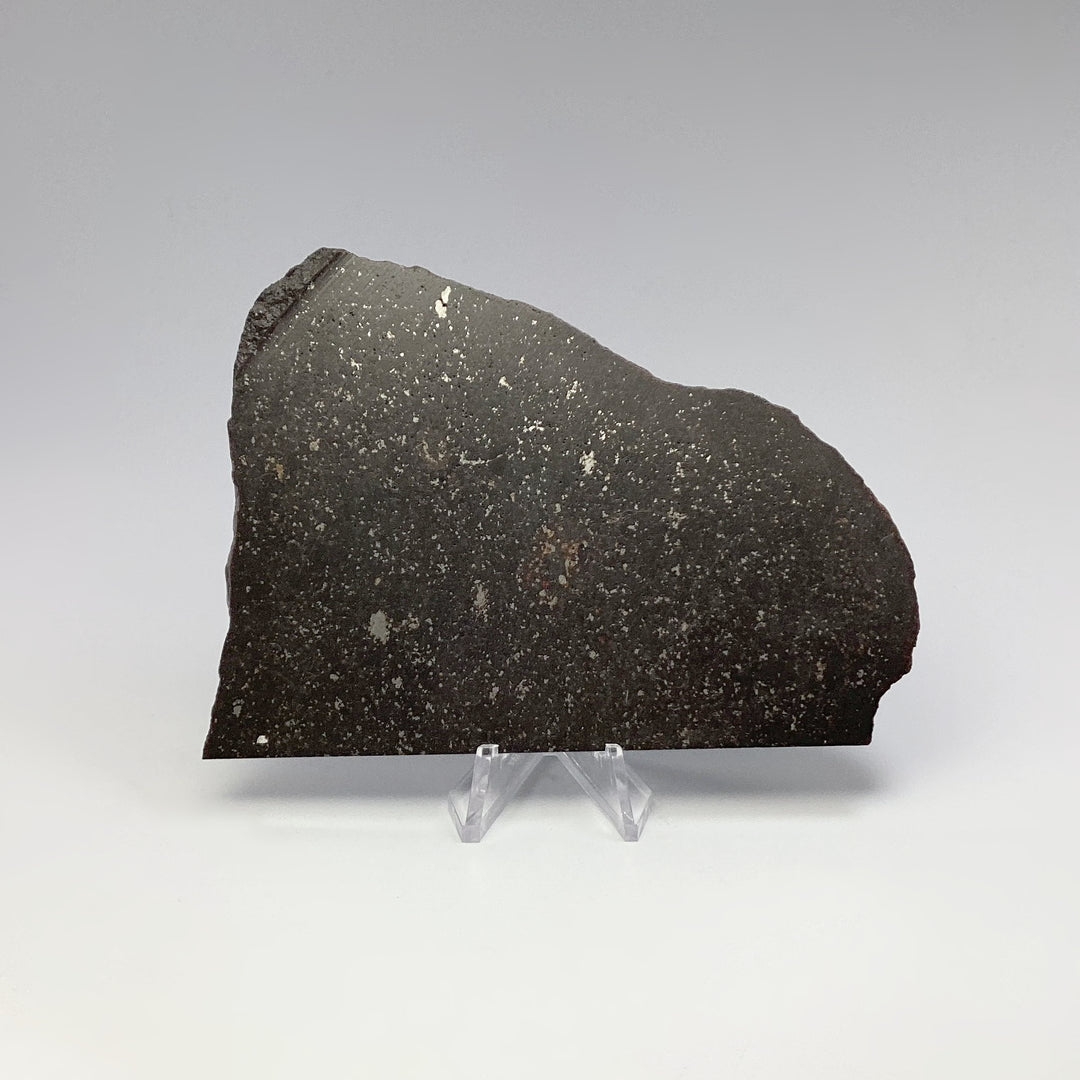 NWA Chondrite Meteorite Slab - Rocks and Gems Canada