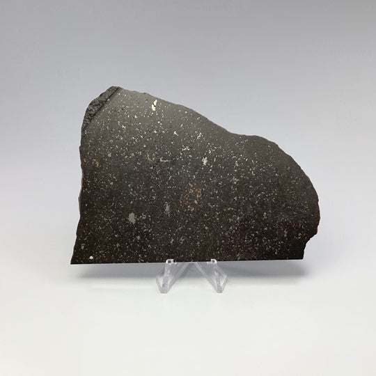 NWA Chondrite Meteorite Slab - Rocks and Gems Canada