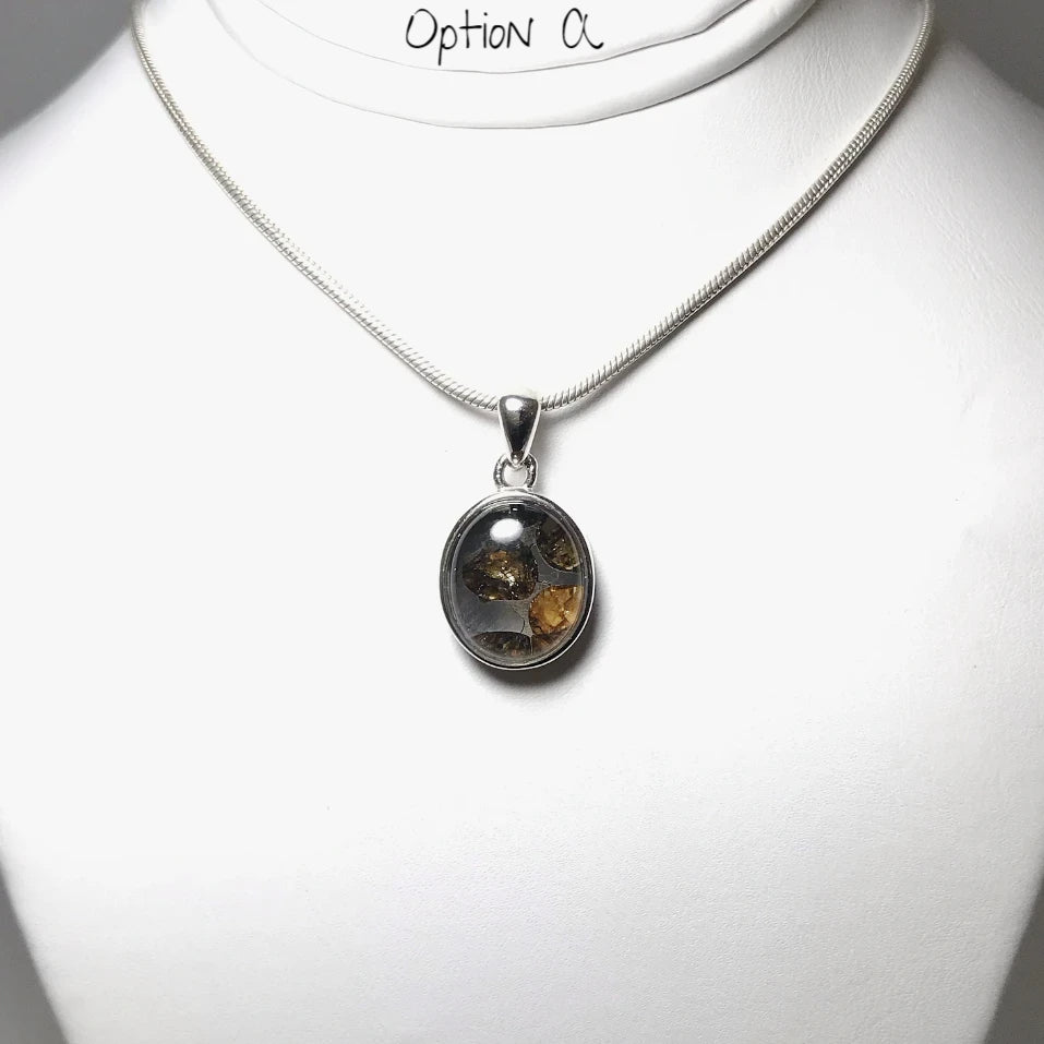 Sericho Meteorite Pendant - Rocks and Gems Canada