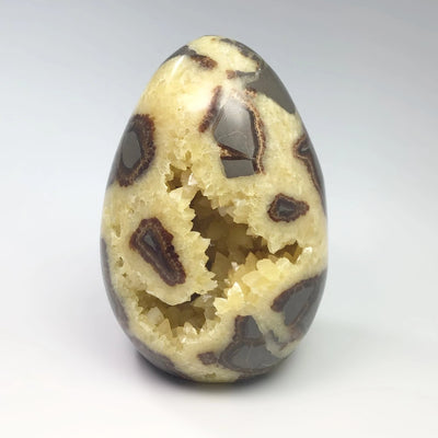 Septarian Egg Stand Up Piece