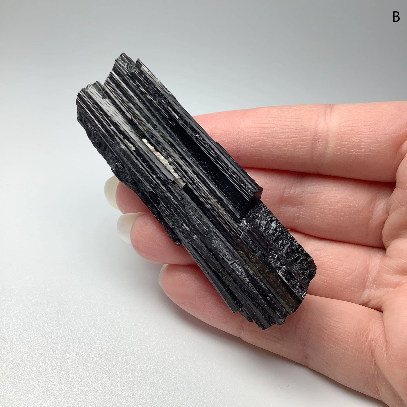 Black Tourmaline at $55 Each