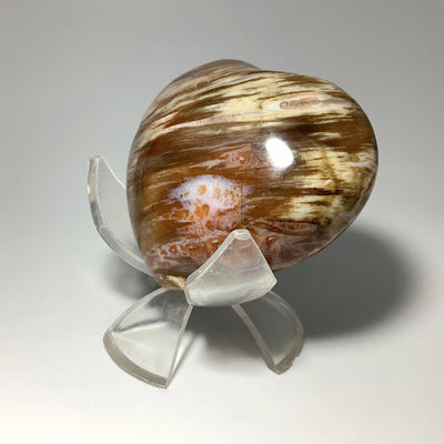Petrified Wood Heart