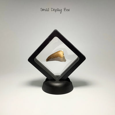 Plastic Display Box