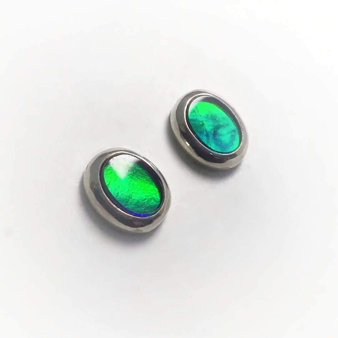 Alberta Ammolite Stud Earrings - Rocks and Gems Canada