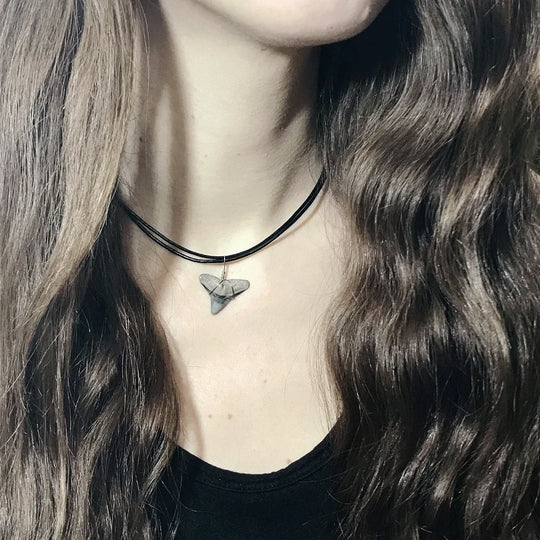 Shark Tooth Fossil Wire Wrapped Necklace - Rocks and Gems Canada