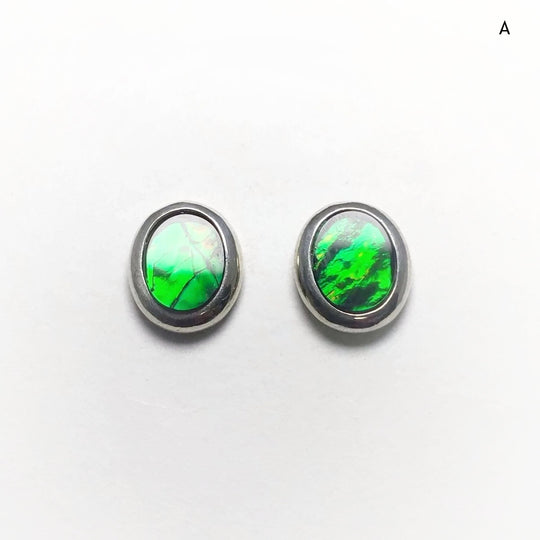 Alberta Ammolite Stud Earrings - Rocks and Gems Canada