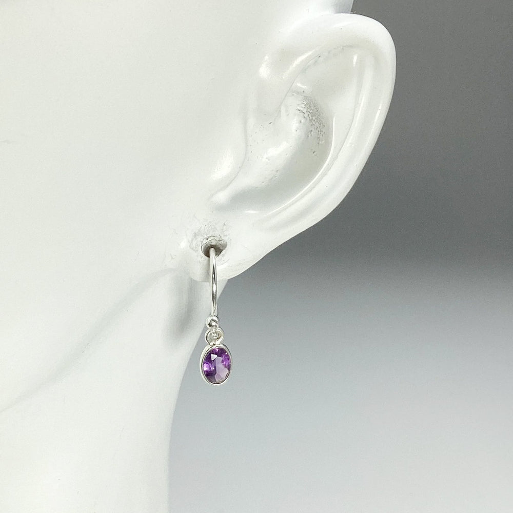 Amethyst Dangle Earrings - Rocks and Gems Canada
