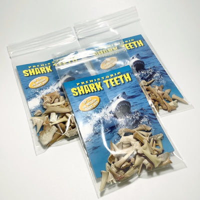 Mixed Small Fossilized Prehistoric Shark Teeth Kit