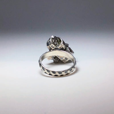 Campo Del Cielo Meteorite Ring