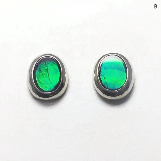 Alberta Ammolite Stud Earrings - Rocks and Gems Canada