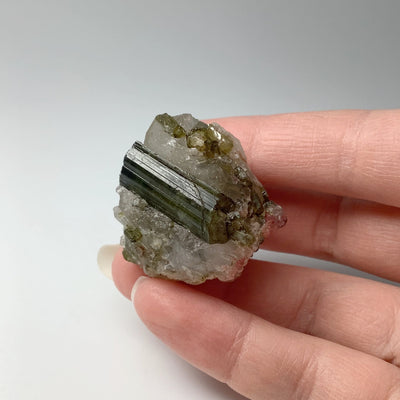 Mixed Tourmaline in Matrix