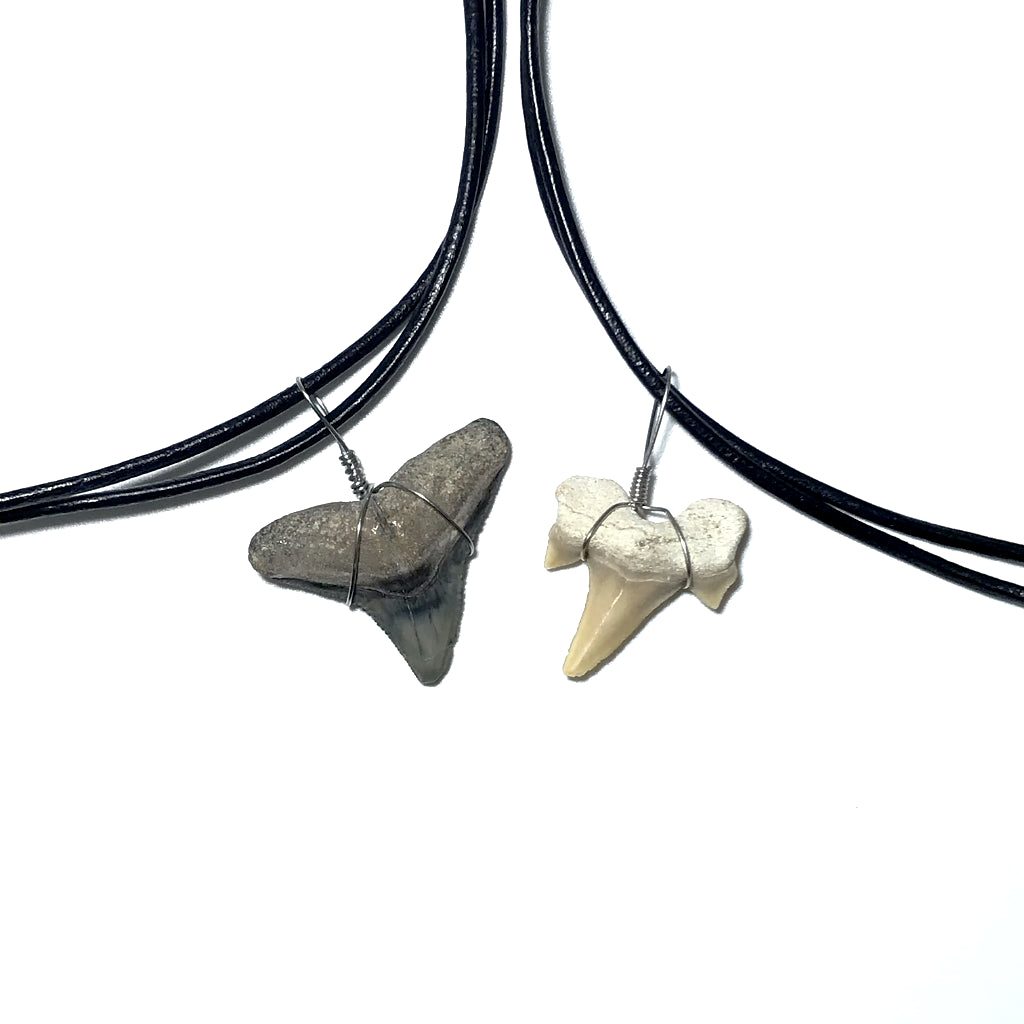 Shark Tooth Fossil Wire Wrapped Necklace - Rocks and Gems Canada