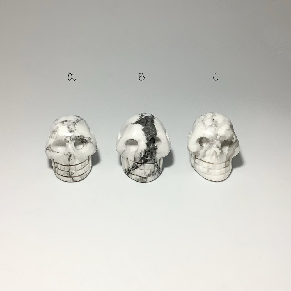 Carved Howlite Skull - Rocks and Gems Canada