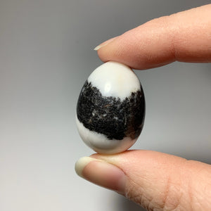 Zebra Jasper Mini Egg