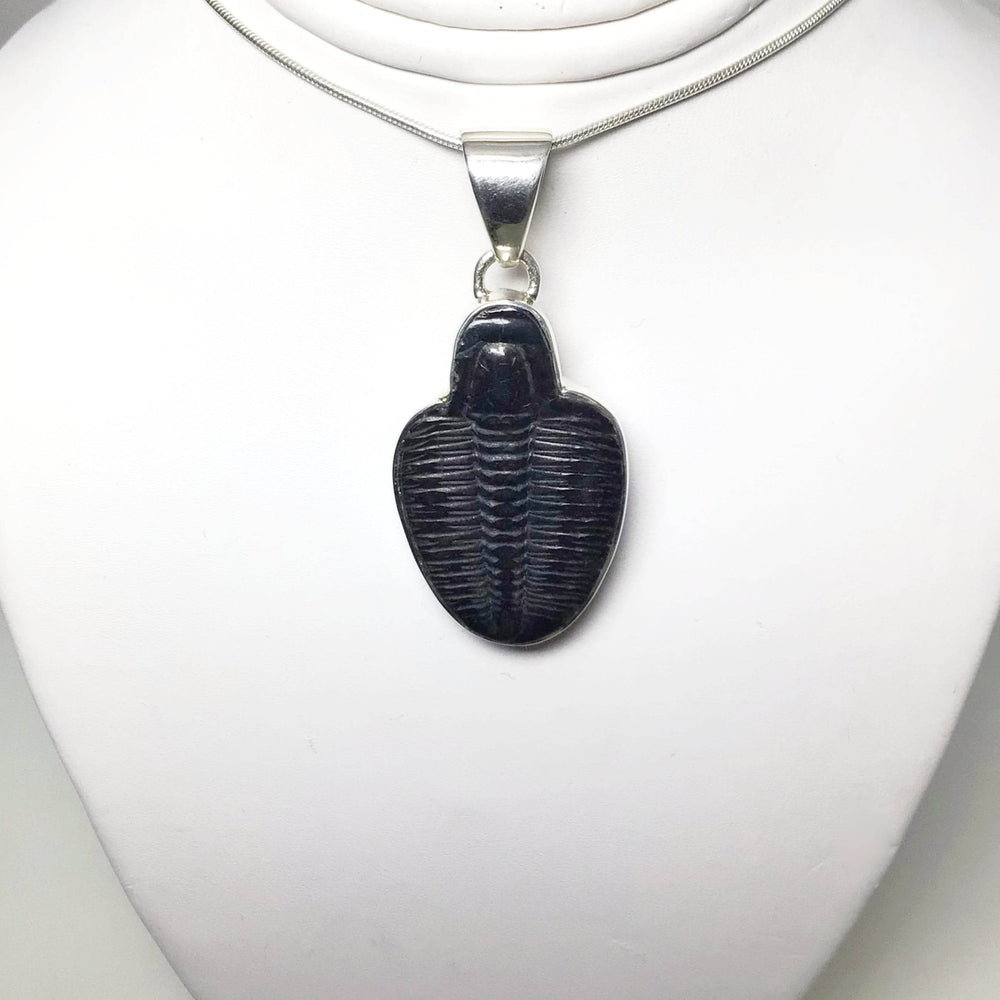 Trilobite Elrathia Kingii Fossil Pendant - Rocks and Gems Canada