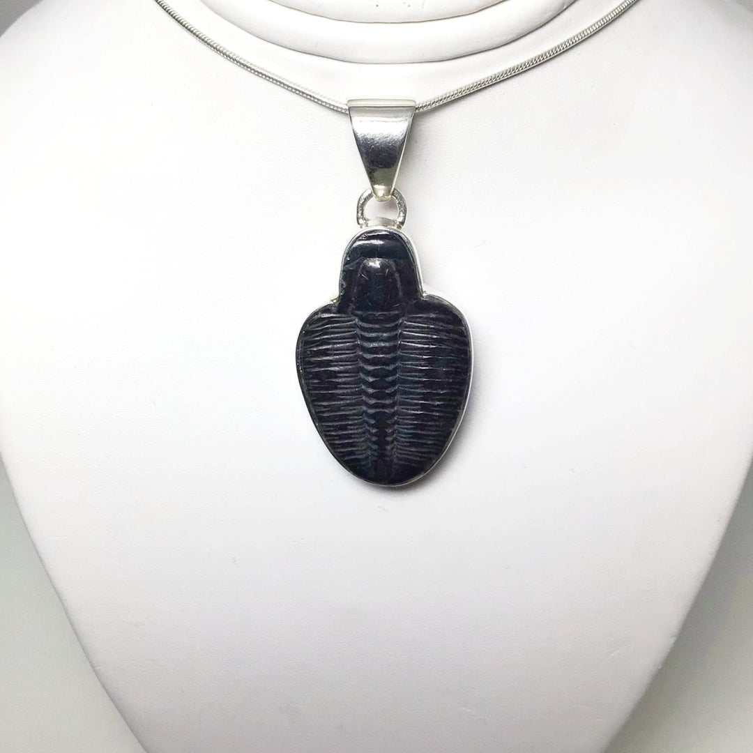 Trilobite Elrathia Kingii Fossil Pendant - Rocks and Gems Canada