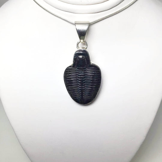 Trilobite Elrathia Kingii Fossil Pendant - Rocks and Gems Canada