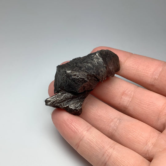 Sikhote-Alin Shrapnel Meteorite - Rocks and Gems Canada