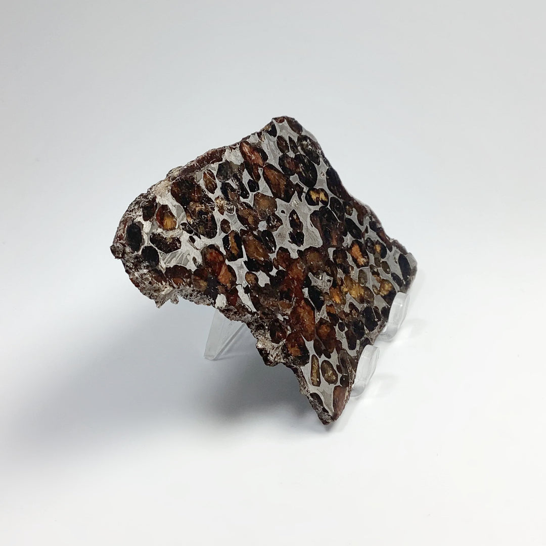 Sericho Meteorite Slice - Rocks and Gems Canada