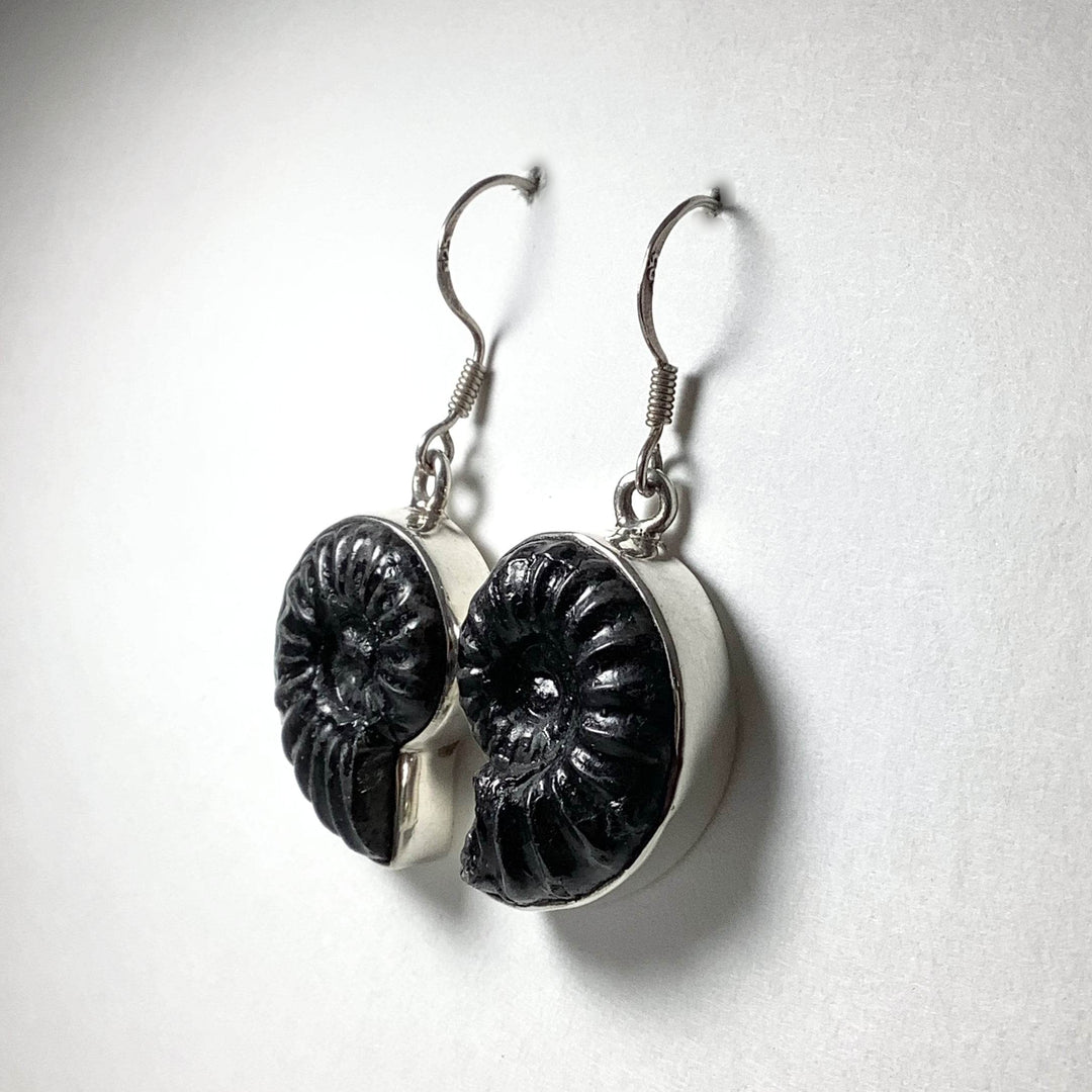 Black Goniatite Ammonite Dangle Earrings - Rocks and Gems Canada