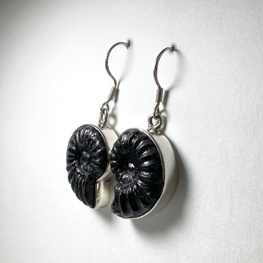 Black Goniatite Ammonite Dangle Earrings - Rocks and Gems Canada
