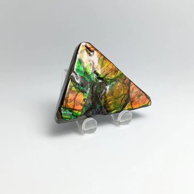 Ammolite Specimen