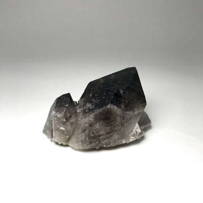 Smoky Quartz Cluster