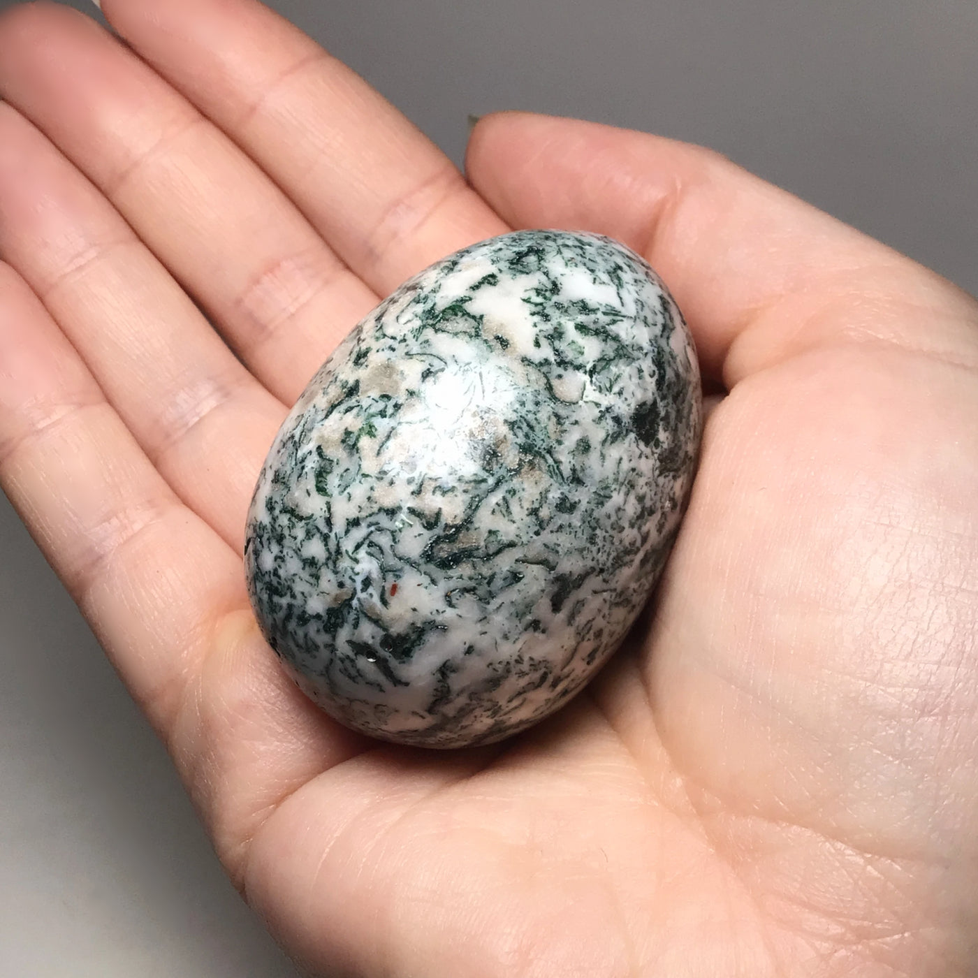 Tree Agate Egg