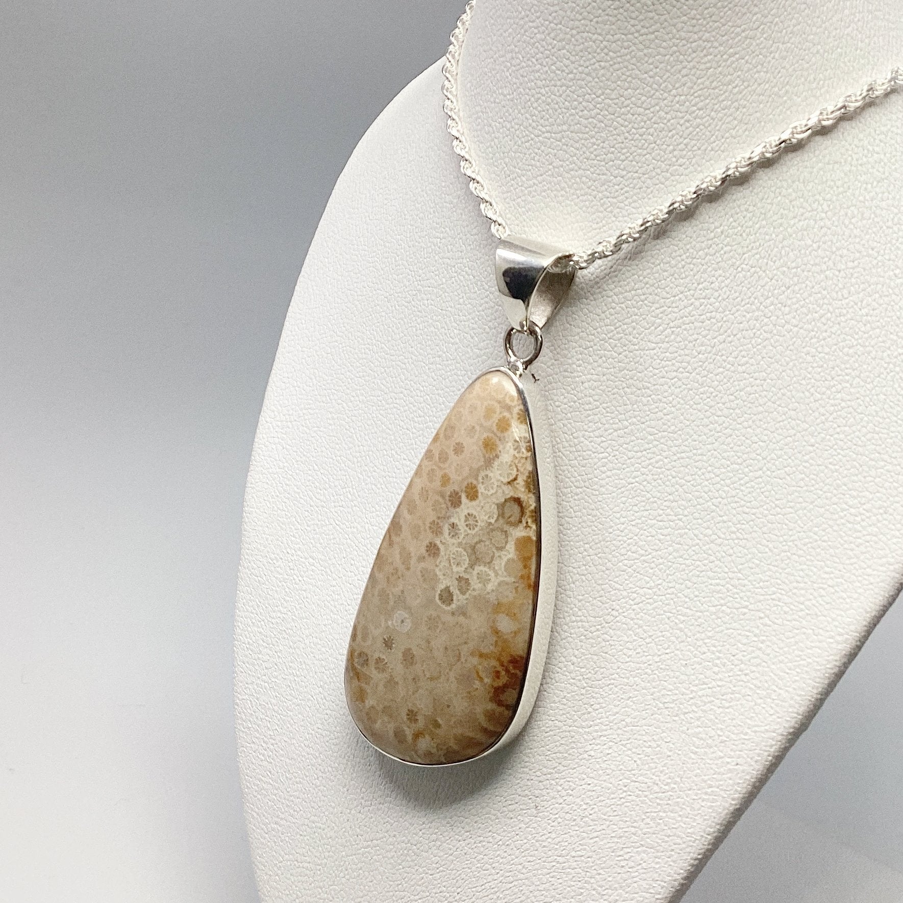 Fossilized Coral Pendant - Rocks and Gems Canada