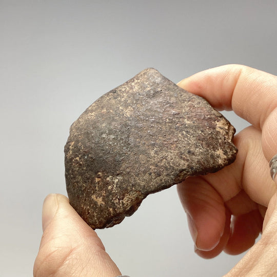 NWA Chondrite Meteorite Specimen - Rocks and Gems Canada