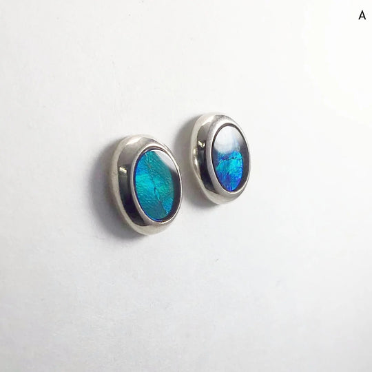 Alberta Ammolite Stud Earrings - Rocks and Gems Canada