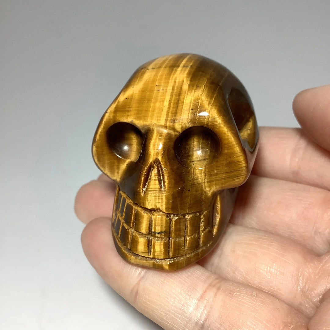 Carved Tiger Eye Skull - Rocks and Gems Canada