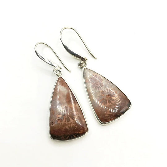 Fossilized Coral Dangle Earrings - Rocks and Gems Canada