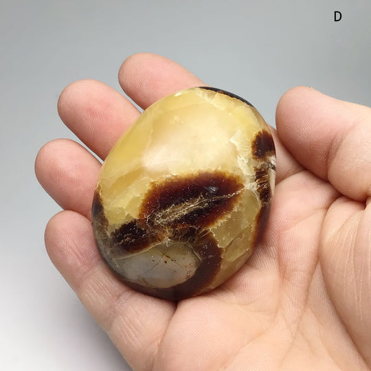 Septarian Tumble - Rocks and Gems Canada