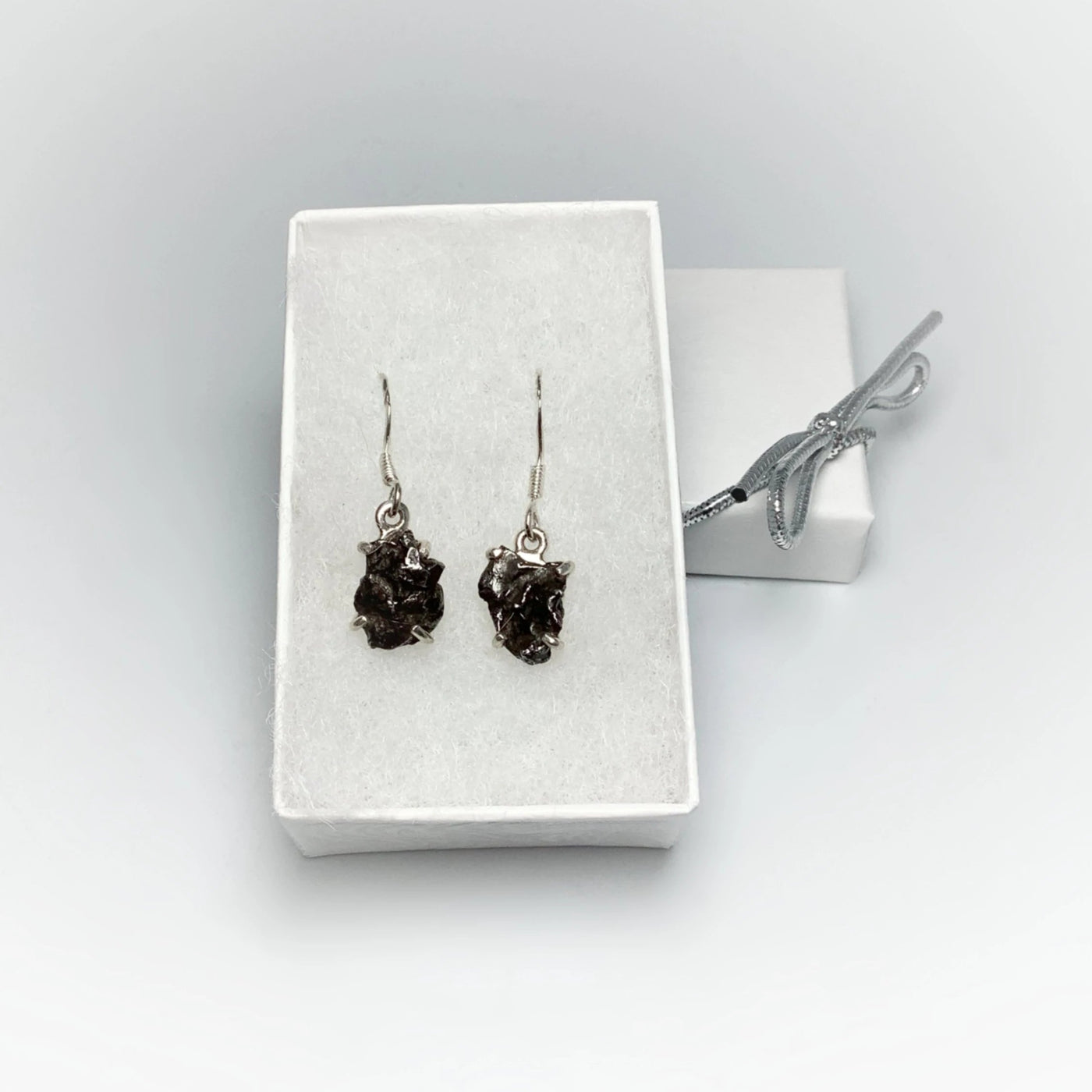 Campo Del Cielo Meteorite Dangle Earrings