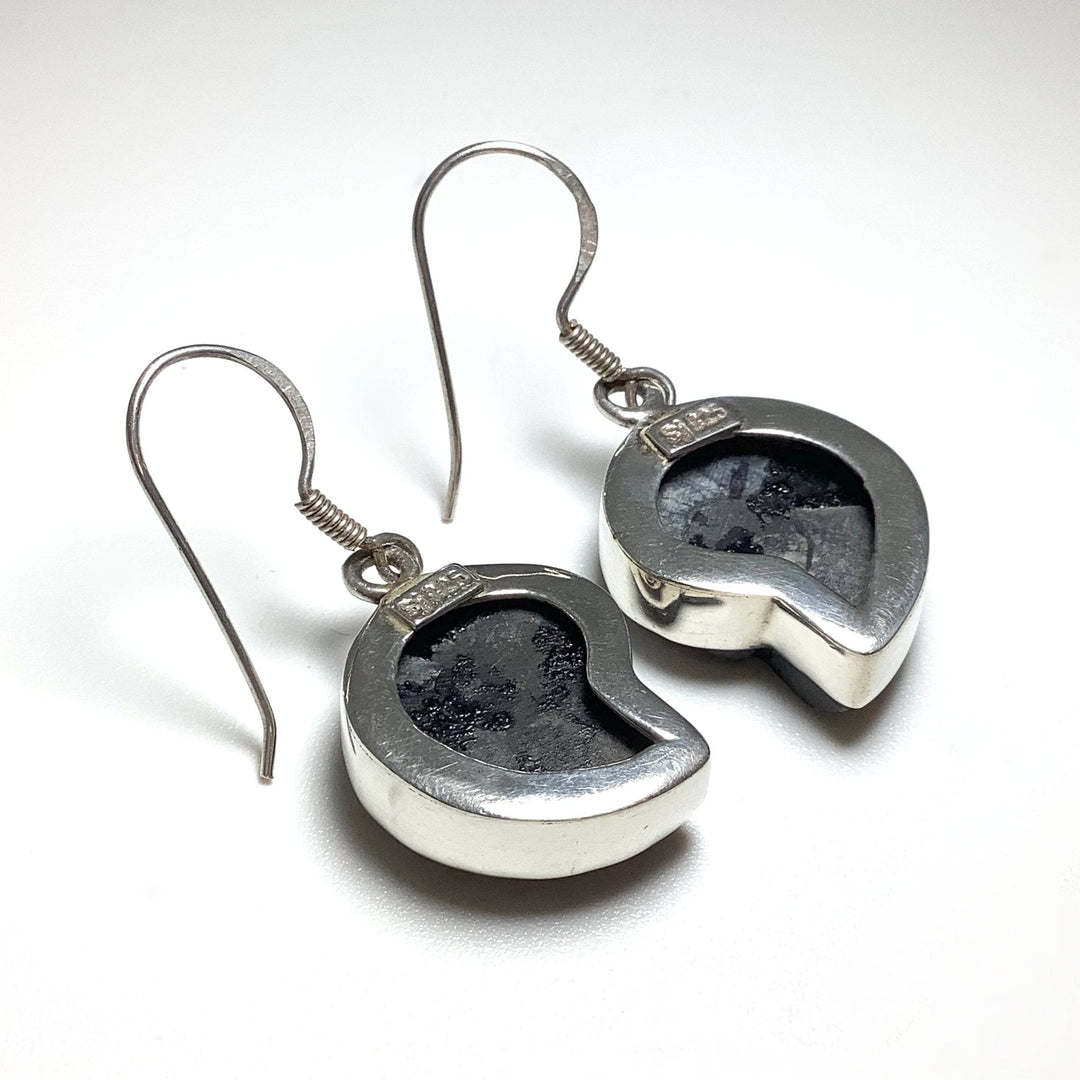 Black Goniatite Ammonite Dangle Earrings - Rocks and Gems Canada