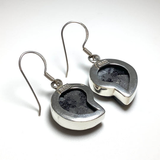 Black Goniatite Ammonite Dangle Earrings - Rocks and Gems Canada