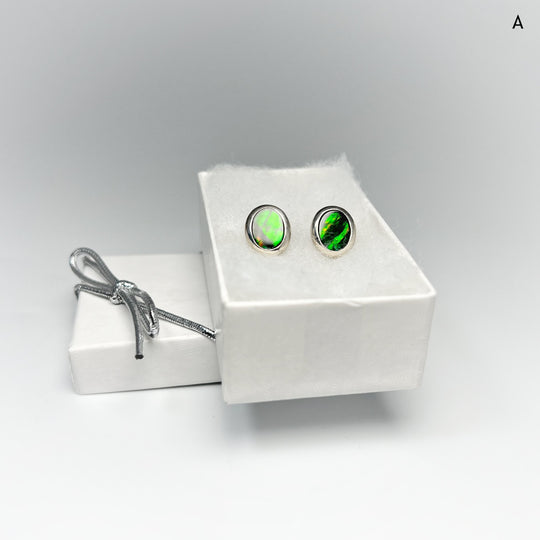 Alberta Ammolite Stud Earrings - Rocks and Gems Canada